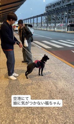まさかのスルー!