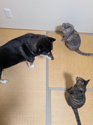 仲良し