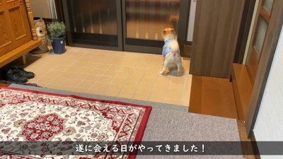 「誰が来たの!?」と興味津々