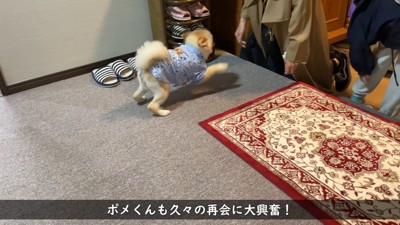 嬉しくて大はしゃぎ♪
