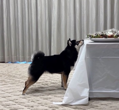 美味しそうな匂いをクンクン…