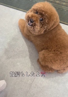 可愛らしい姿に変身♡