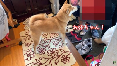 お姉ちゃんをお出迎えするために玄関へ