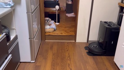 お父さんの帰宅に気付くと…