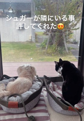 徐々に距離が縮まった
