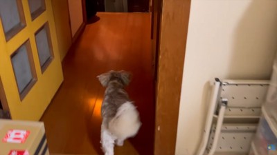 お出迎えするために玄関へ