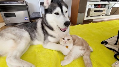 気付いたら親子のような関係に