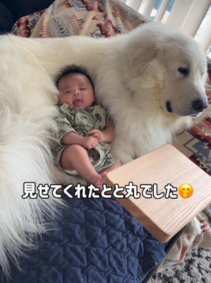 「赤ちゃんは僕が守るよ」
