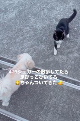 なぜかボロボロだった