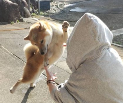 ダンス