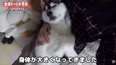 愛情を注がれて、すくすく成長