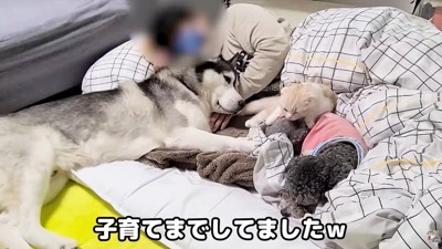 幸せ溢れる光景♡