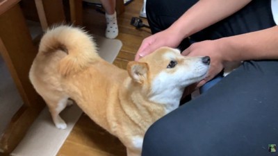 甘えん坊で可愛い♡