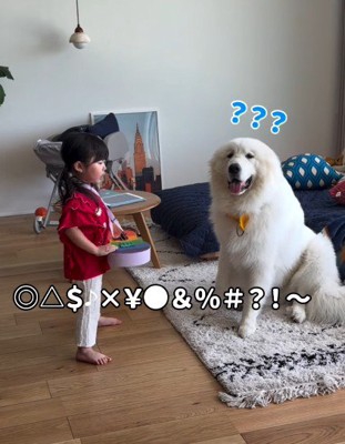 観客になるとと丸ちゃん