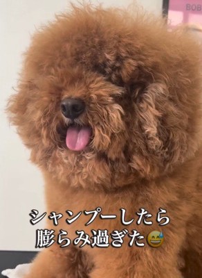 乾かすだけで1時間半