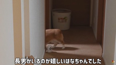今度は部屋の中へ