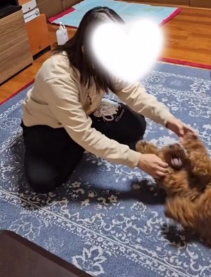 飼い主から少し離れたところで手足をパタパタと動かす犬