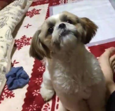 きゅるん