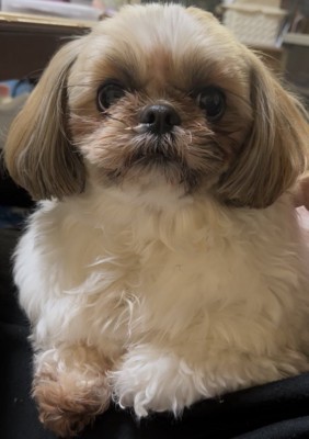 現在