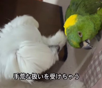 仲睦まじい2人♡