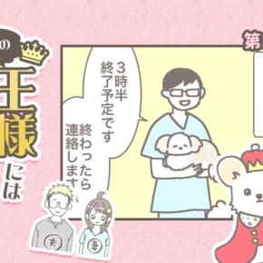 うちの王様にはどうしても抗えない【第377話】「バンビ闘病記・手術」