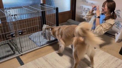 はじめましてのご挨拶♪