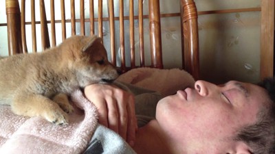 「まだ起きない…」
