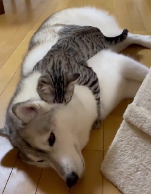 「会いたかった！」