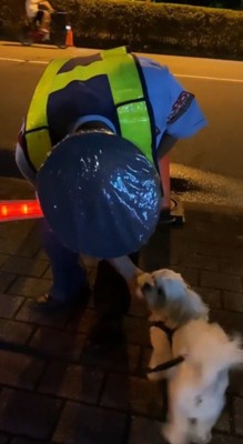 警備員の男性の顔を見つめる犬