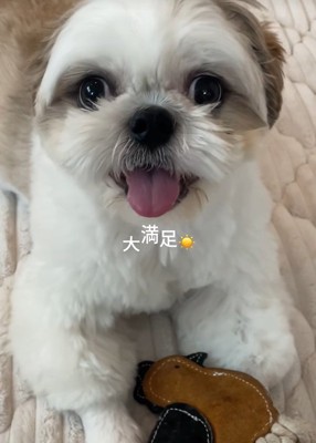 笑顔のちろ君
