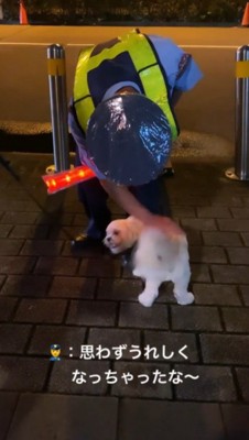 甘えてくる犬を撫でる警備員の男性
