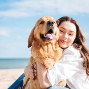 犬が『尊敬』している人にする行動5選 愛犬にリスペクトされるにはどうすべき?見逃したくない信頼のサインまで