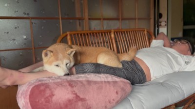 現在のももちゃんは14歳!