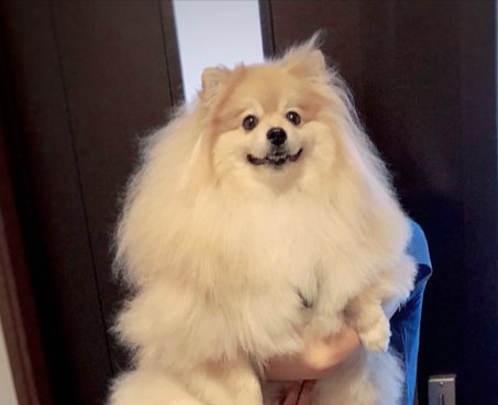 笑顔