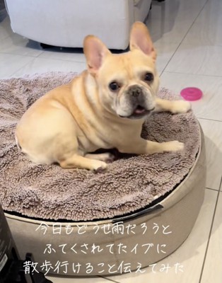 「すぐ行こ！」