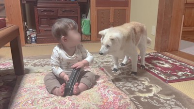 「それ、大丈夫かな？」