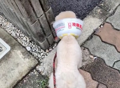 斬新すぎるアイデア!