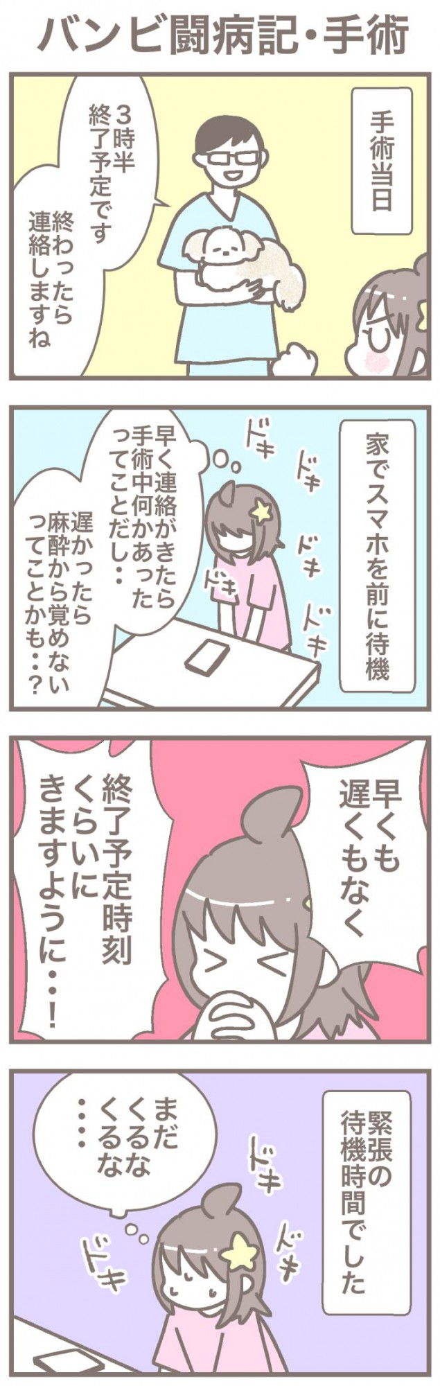 うちの王様にはどうしても抗えない【第377話】「バンビ闘病記・手術」