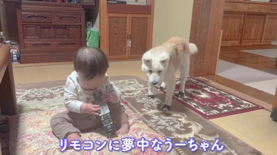 赤ちゃんのことが心配で…
