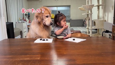 おからちゃんも釣られて…