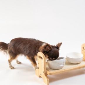犬のための『食事台』選び方のポイントとは？サイズが合っていない場合のデメリットまで