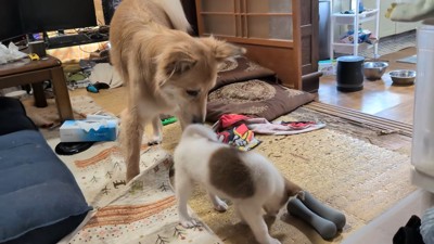 仲良くなれる予感…♪