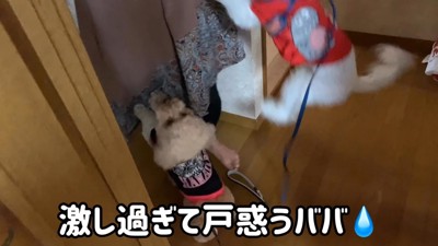 愛情表現が激しすぎる!
