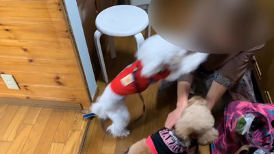 「僕ももっとナデナデしてー!」