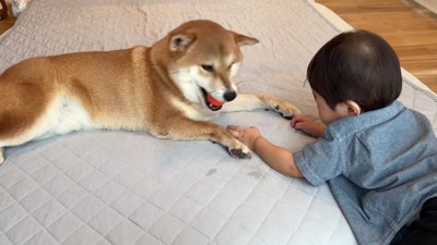 突然の攻防戦!?