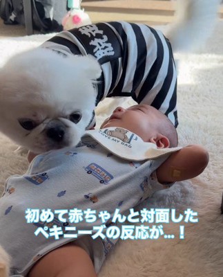 心温まる初対面でした♡