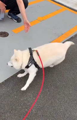 嬉しくて仕方ない♡