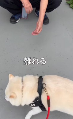 ついつい逃げちゃう♡