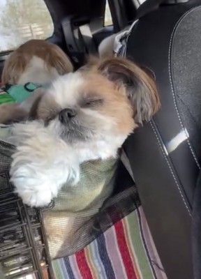 ZZZ…