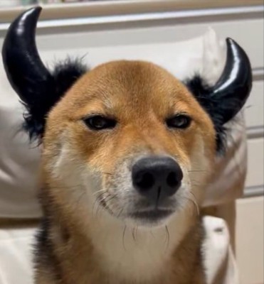 目